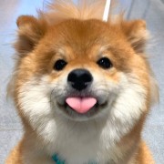 传染病学卡包封面