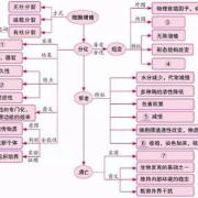 高中生物（必修二）知识点总结卡包封面
