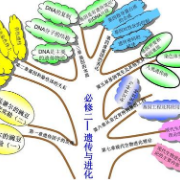 高中生物会考知识点总结卡包封面