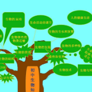 初中生物复习提纲：152  个重要知识点卡包封面