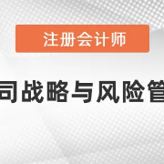 2022年公司战略与风险管理卡包封面