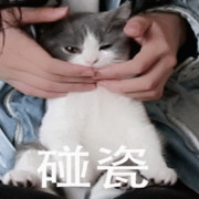  中医基础理论名词解释卡包封面