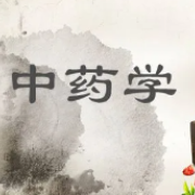 全国中药学（师） 资格考试考前速练题库卡包封面
