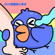 西综病理必备知识点卡包封面