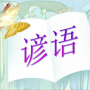 150条英语谚语，中考英语作文加分靠它了卡包封面