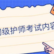 初级护师考试《相关专业知识》复习考点汇总卡包封面