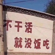 拼搏百天，我要考执医！卡包封面