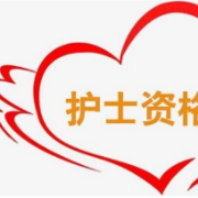 护士资格考试《内科+外科+妇科+儿科》要点总结卡包封面