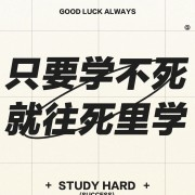 【星号】313历史学 中国史名词解释卡包封面