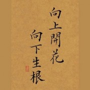 【阿月】2023CPA经济法（上）卡包封面