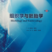 组织学与胚胎学（持续更...）卡包封面