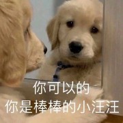 21法考基本概念之《民法》卡包封面