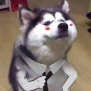 方剂卡包封面