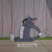 政府工作报告用词卡包封面