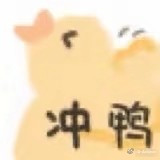 闭眼冲鸭！卡包封面