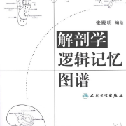 解剖学 逻辑记忆图谱卡包封面