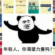 首师347心理学卡包封面