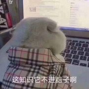 考研方剂学方歌卡包封面