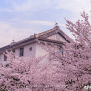 刘军平百科（课后题目）卡包封面