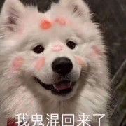 西政专c民法学卡包封面