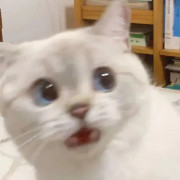西政专c经济法卡包封面