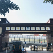 伤寒论(全条文)1.0卡包封面