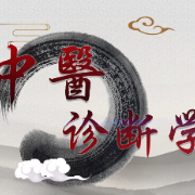 中诊（习题）卡包封面