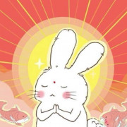 西政专c民事诉讼法卡包封面
