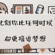 申论规范词卡包封面
