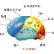 运动生理名词解释卡包封面