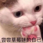 真题单词卡包封面