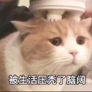 自考 马克思卡包封面