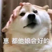如鱼得水专八单词卡包封面