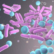 病原生物学知识点总结卡包封面