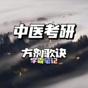 中医考研【方剂歌诀】卡包封面