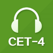 CET4四级词汇（完美图片版带例句发音）卡包封面