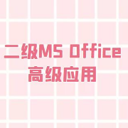 全国计算机等级考试《二级MS Office高级应用》题库卡包封面