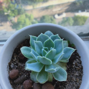 常见英语考研语单词前缀、后缀卡包封面