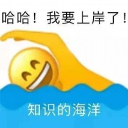 高级英语修辞卡包封面