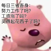 M6-数字-口外不用付费卡包封面