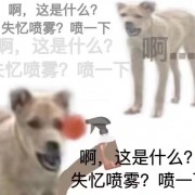 古代汉语卡包封面