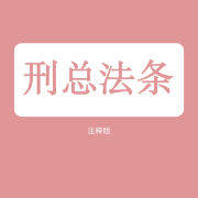 【NYC】刑法总则法条（注释版）卡包封面