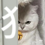 A9-23年9月选择题口腔解剖生理学卡包封面