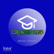 口腔解剖生理学卡包封面