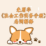 朱眉华《社会工作实务手册》名词解释卡包封面