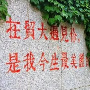 贸大日语mti考研必背经贸词汇➕历年热词卡包封面