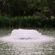 中药快快快记2卡包封面