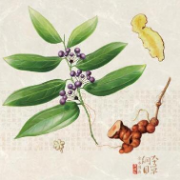 【中医著作】本草纲目卡包封面