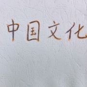 鹿玉盈盈🌸中国文化要略 重点版卡包封面
