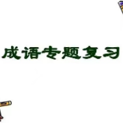汉硕易错成语改错卡包封面
